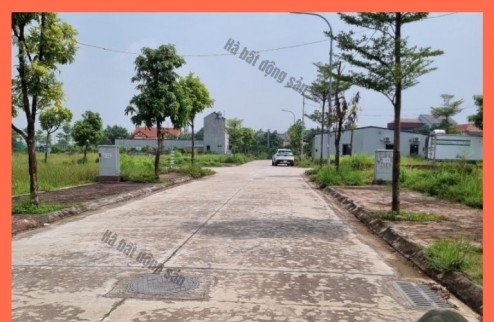 Bán đấu giá Yên Vinh Mê Linh đối diện đô thị HUD Mê Linh, vị trí đắc địa, Ngay vành đai 4